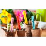 Nature Tabulas to prick - Image 2