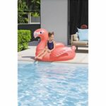 Ride-on float - Bestway - Flamingo - 138 x 107 cm - Image 5