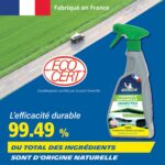 MICHELIN insect cleaner 500 ml - Image 3