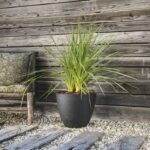 PoeTIC Round Element Pot 40 - Slate - Image 3