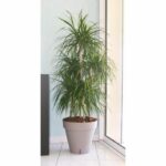 RIVIERA Loft flowerpot with water reserve - Round - Ø 60 x H 55 cm - Taupe