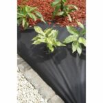 Mulching blanket - black 50 gr / m² - 1x10 m