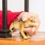 SCHLEICH - Kaprosuchus - Image 3