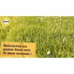 SOLABIOL - Double Action Anti-Foam Lawn Fertilizer 80m2 - Case 3.2 kg - Image 2