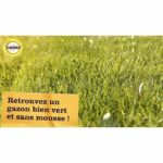 SOLABIOL - Double Action Anti-Foam Lawn Fertilizer 80m2 - Case 3.2 kg - Image 3