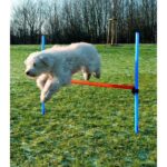 TRIXIE Dog Activity Obstacle Agility for Dog